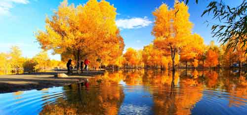 写给秋天 散文 写给秋天 散文